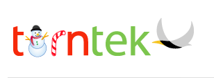 TernTek Logo